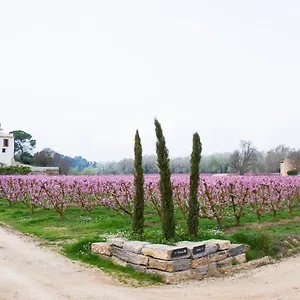Rural Mas De L'illa , Tivissa España
